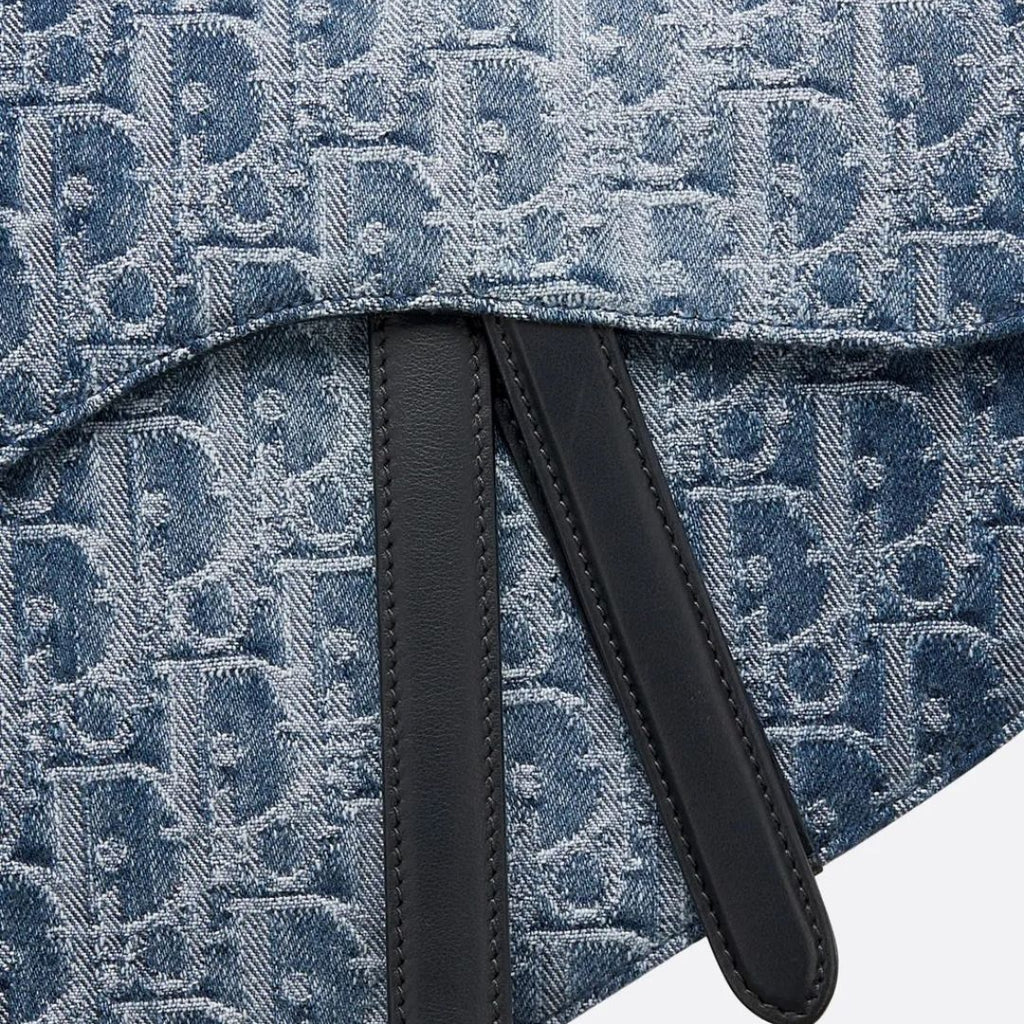 DIOR-SADDLE