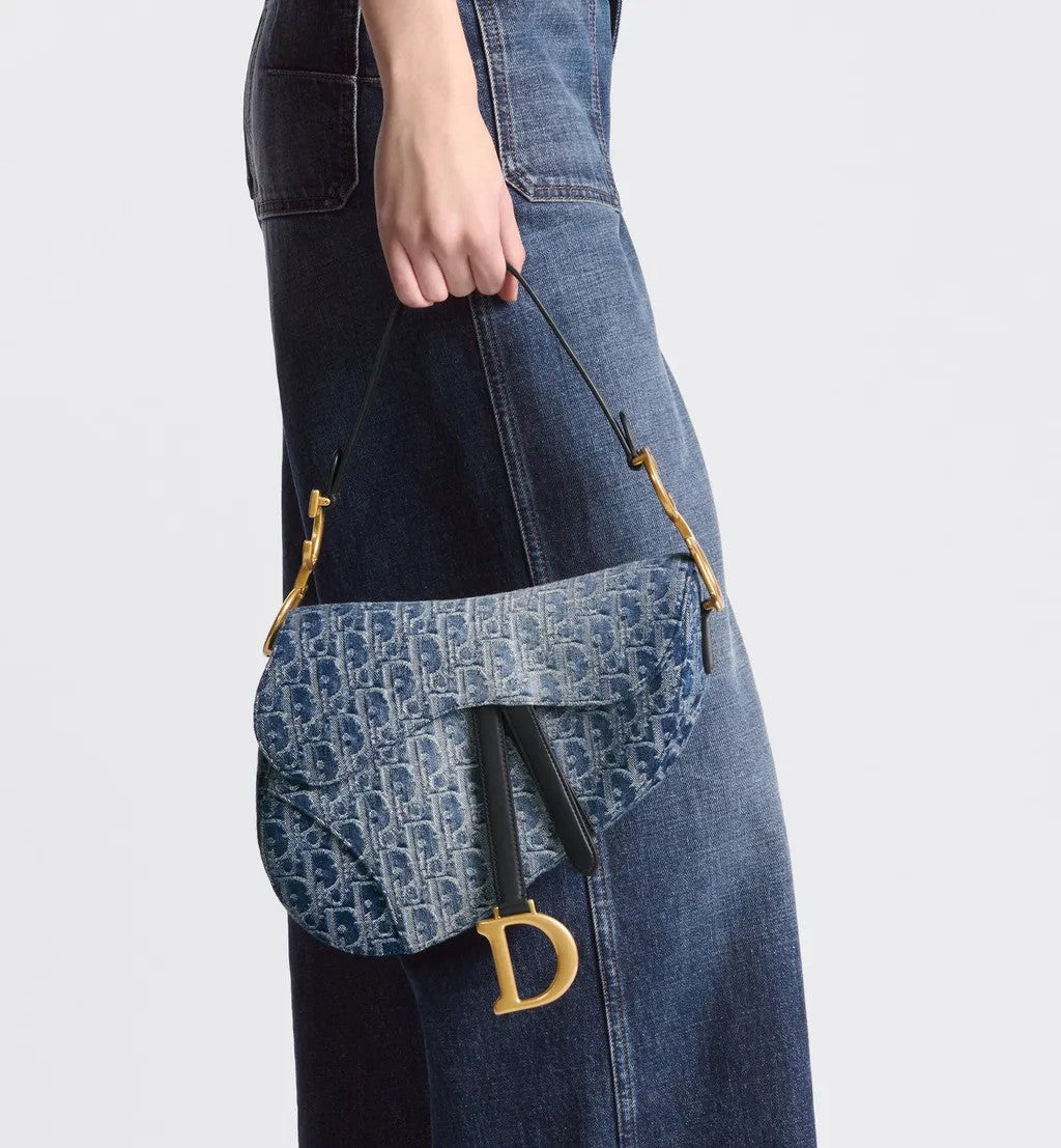 DIOR-SADDLE