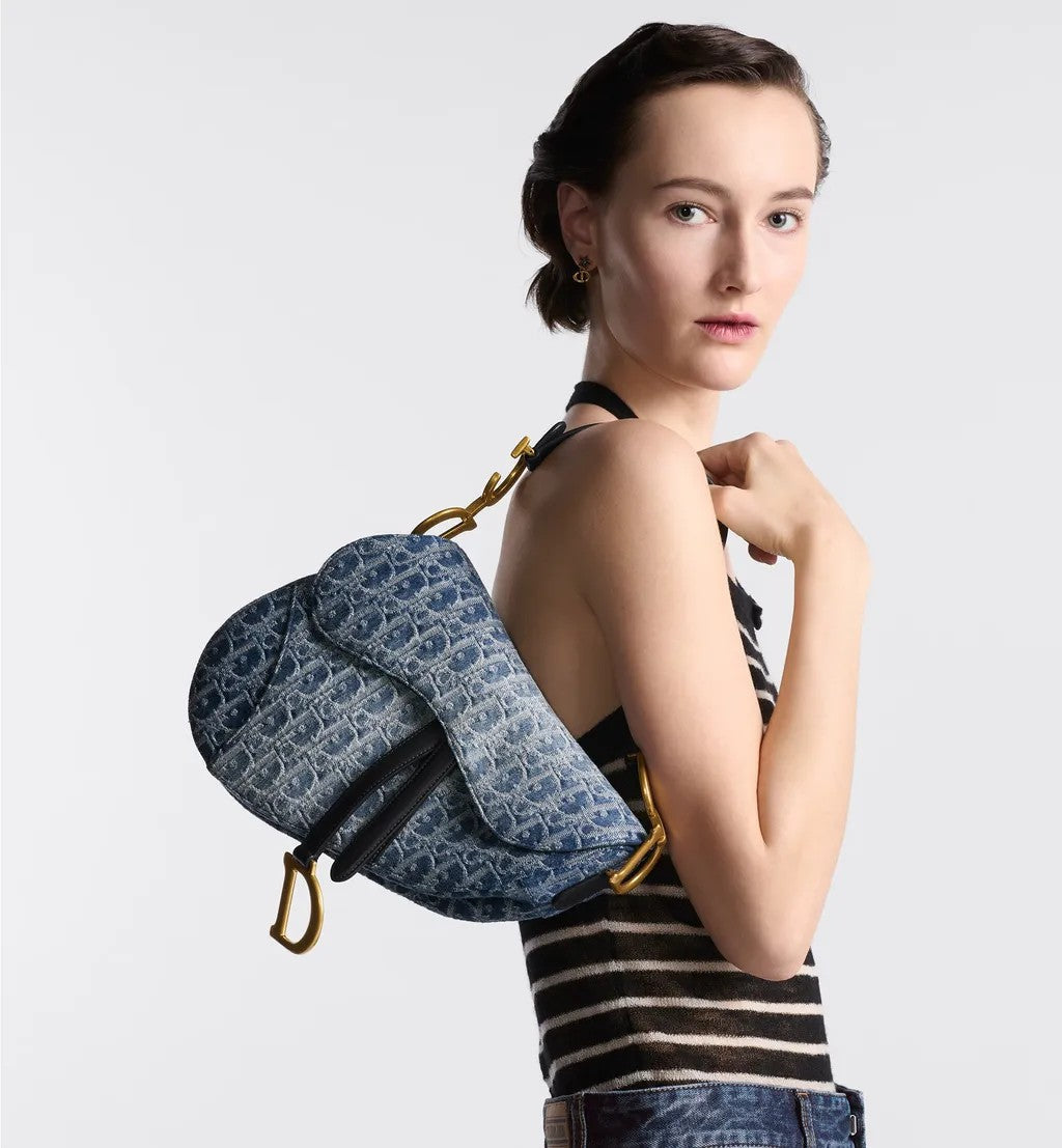 DIOR-SADDLE