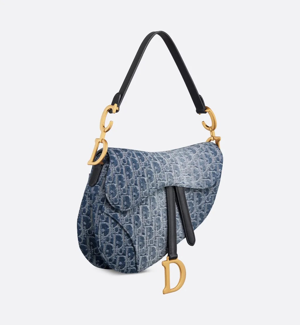 DIOR-SADDLE