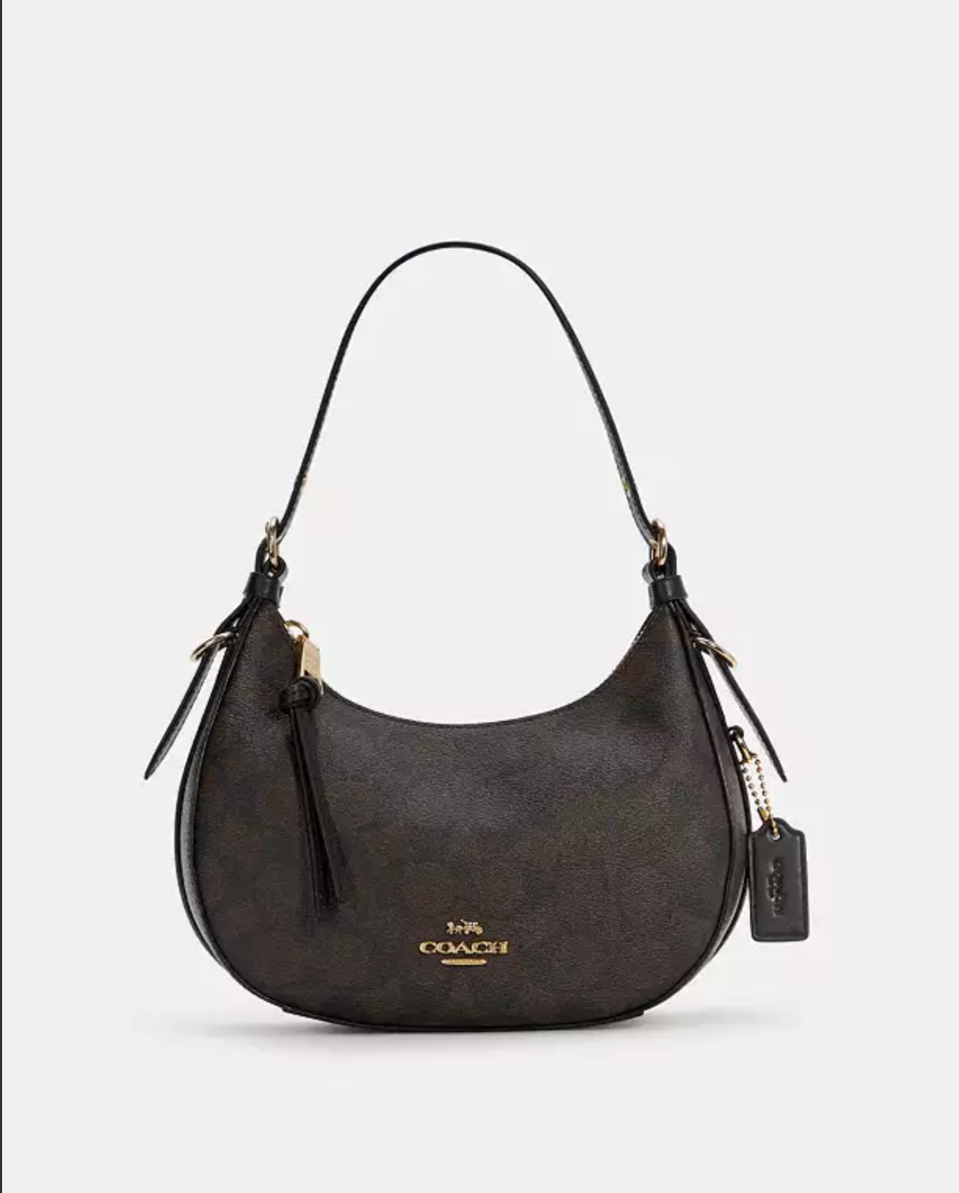 Kleo Hobo In Signature Canvas